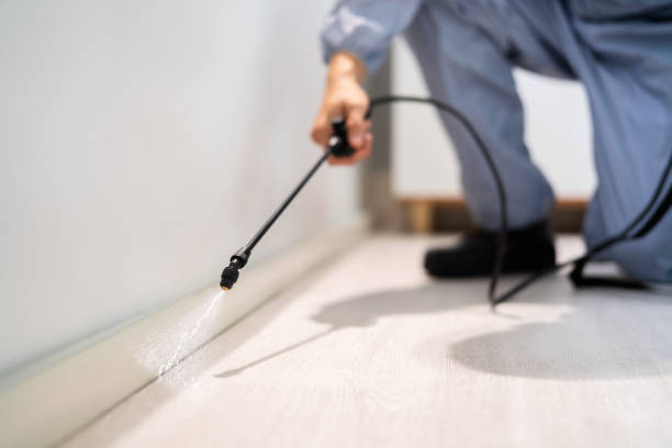 Licensed Termite Control service in Innsbrook, VA - Nex Pest Control