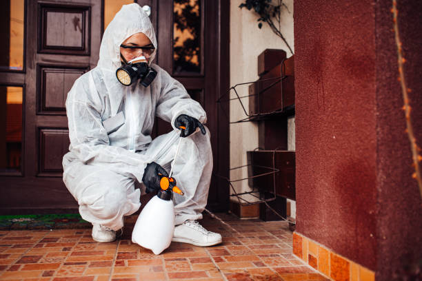 Reliable Termite Control contractor in Innsbrook, VA by Nex Pest Control